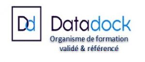 DATA DOCK LOGO